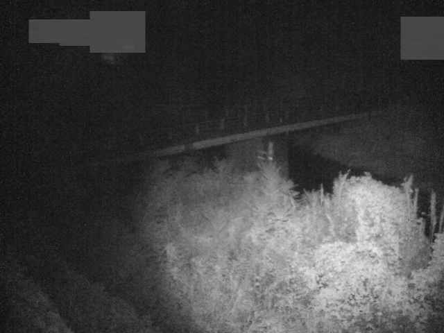 拡大画像
