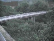 与田山