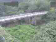 与田山