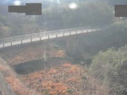 2026-02-08 10:00:00 +0900