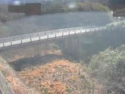 2026-02-08 11:00:00 +0900