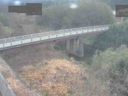 2026-02-08 12:00:00 +0900