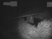 2026-03-20 04:00:00 +0900