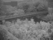 与田山
