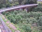 与田山