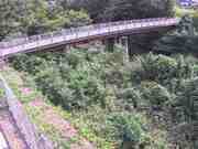 与田山