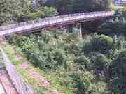 与田山