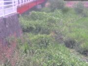 弁天橋