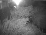 2025-07-03 21:00:00 +0900