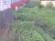 弁天橋