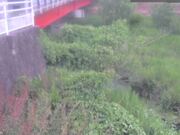 弁天橋