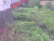 弁天橋