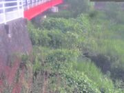 弁天橋