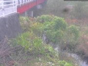 2025-12-02 11:00:00 +0900