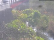 2025-12-02 12:00:00 +0900