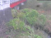 2025-12-02 14:00:00 +0900