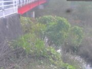 2025-12-02 15:00:00 +0900