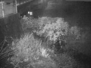 2025-12-17 21:00:00 +0900