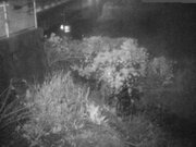 2025-12-17 22:00:00 +0900