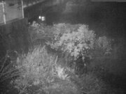 2025-12-17 23:00:00 +0900