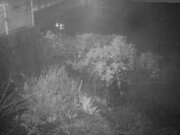 2025-12-18 00:00:00 +0900