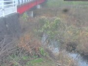 2025-12-24 15:00:00 +0900