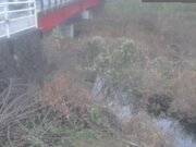 2025-12-24 17:00:00 +0900