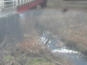 2026-01-23 13:00:00 +0900