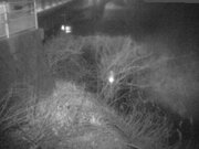 2026-02-01 02:00:00 +0900