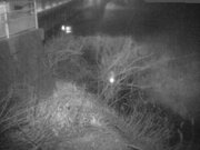 2026-02-01 03:00:00 +0900