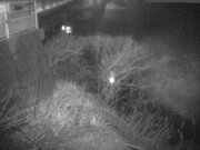 2026-02-01 06:00:00 +0900