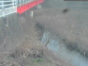 2026-02-06 17:00:00 +0900