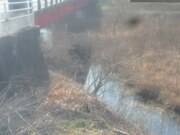 2026-02-13 12:00:00 +0900