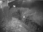 2026-03-09 19:00:00 +0900