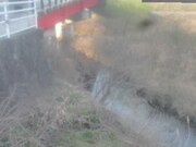 2026-03-18 08:00:00 +0900