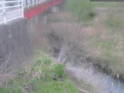 2026-04-09 10:00:00 +0900