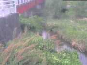 弁天橋