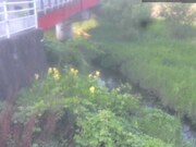 監視画像