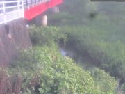 2026-08-29 17:00:00 +0900