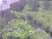弁天橋