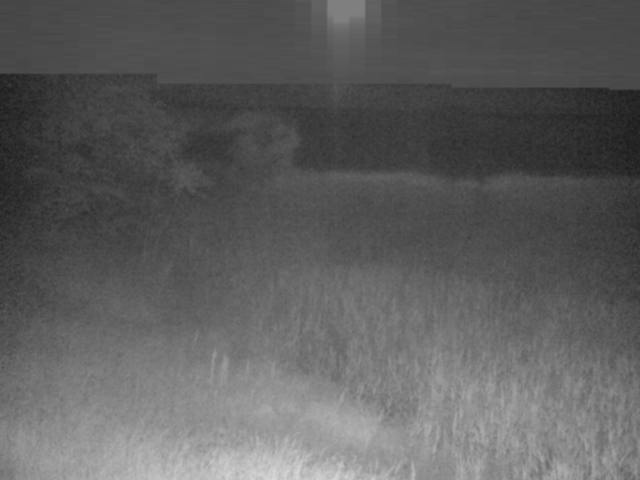 監視画像