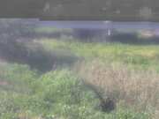 2025-07-12 08:00:00 +0900