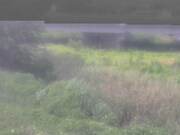 2025-07-12 10:00:00 +0900