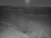 2026-02-04 22:00:00 +0900