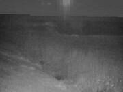 2026-02-05 00:00:00 +0900