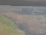 2026-02-13 16:00:00 +0900