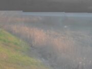 2026-02-13 17:00:00 +0900