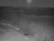 2026-03-22 02:00:00 +0900