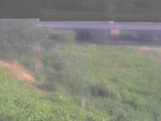 井戸川橋