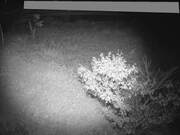 井戸川橋